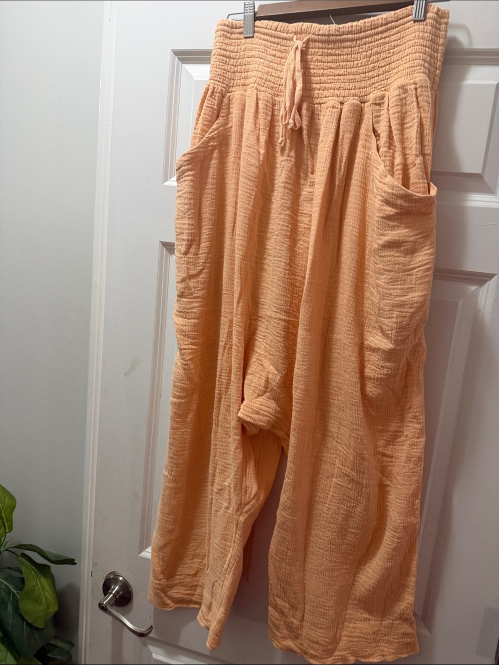 Free People We The Free Easy Peasy Pull-On Pants in Irie